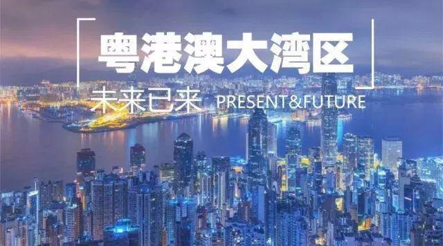 2025年新澳门和香港天天免费精准大全,精选解析、落实