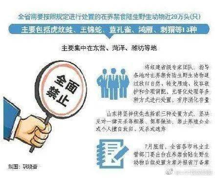 2025年澳门正版免费大全;警惕虚假宣传-精选解析解释落实