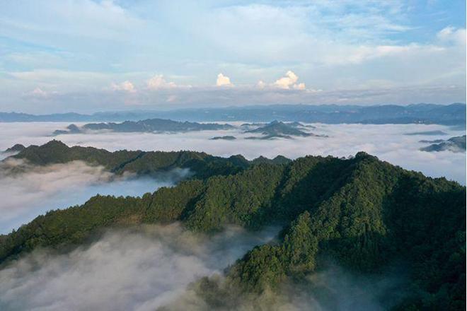 利川毛坝最新消息